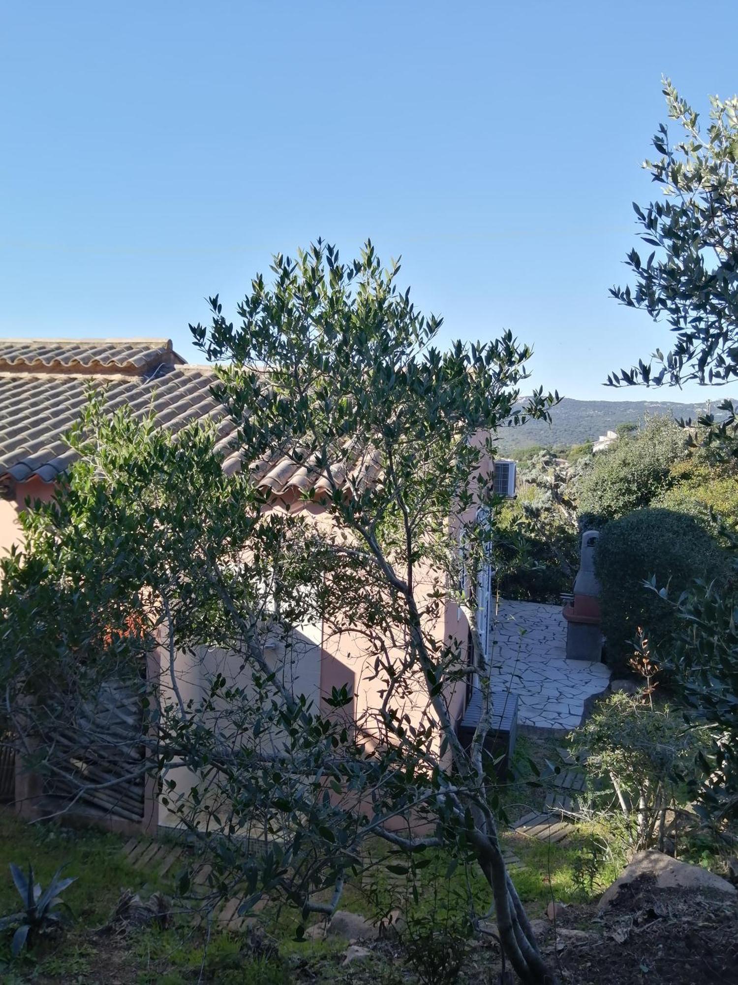 Villa Vue Mer A Santa Giulia Porto-Vecchio  Buitenkant foto